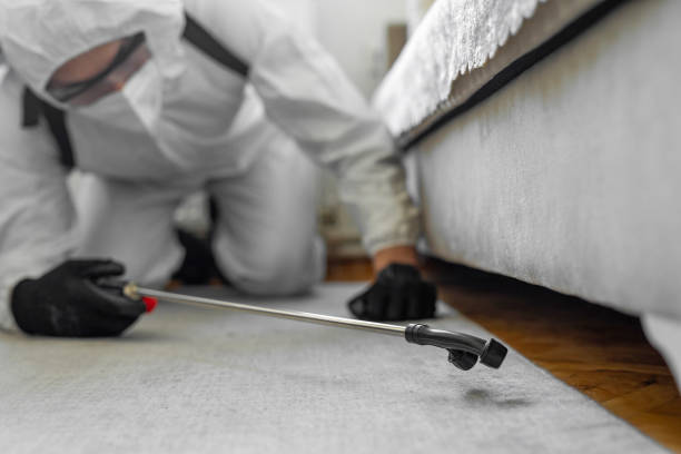 Professional Pest Control technician working in Dickens County County, TX